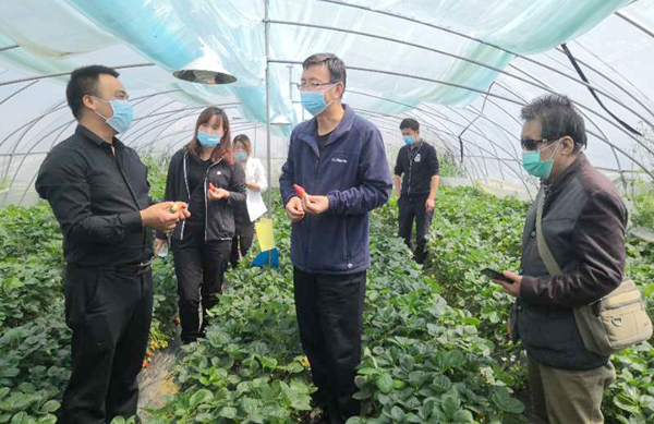 河南农林科技公司如何选？从农林技术开发到生态农业落地的完整思路