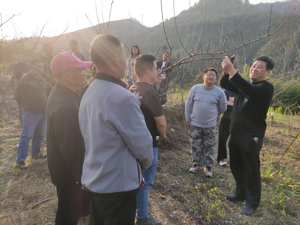 西农导师送计献策，贵州头雁兴农强国 ——西北农林科技大学导师团回访贵州“头雁”纪实