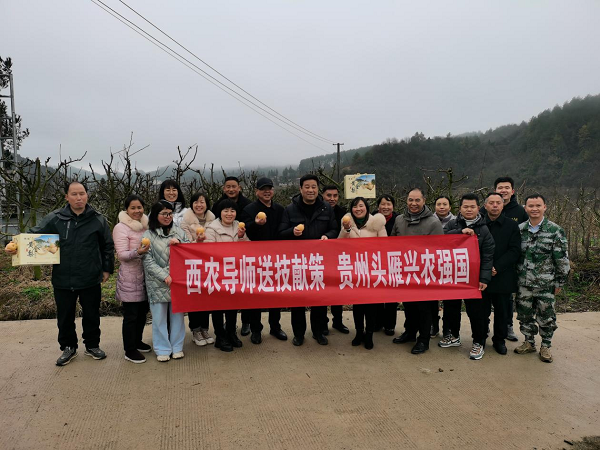 西农导师送计献策，贵州头雁兴农强国 ——西北农林科技大学导师团回访贵州“头雁”纪实