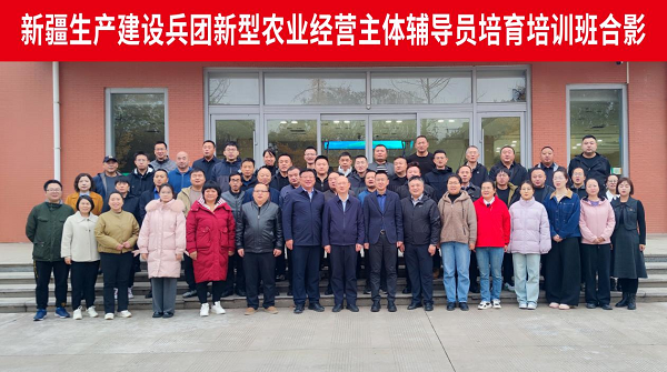 图片6.png