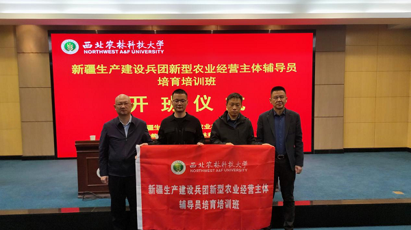 图片5.png