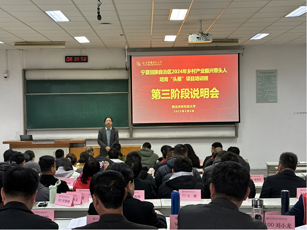 图片14.png