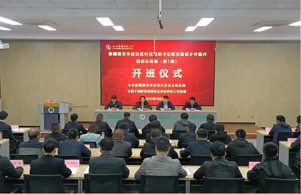 图片14.png
