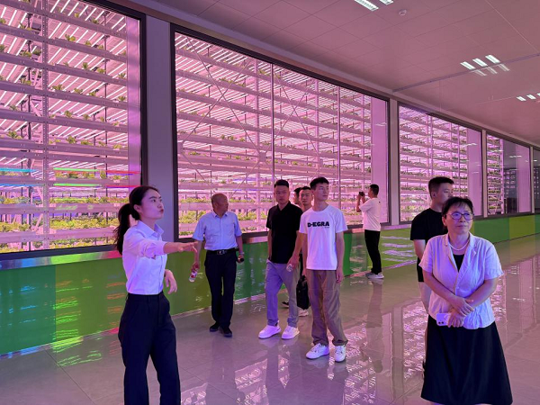图片12.png