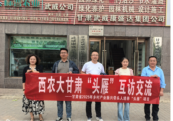 图片43.png