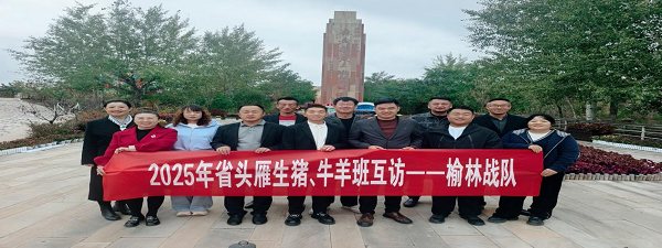 图片6.png