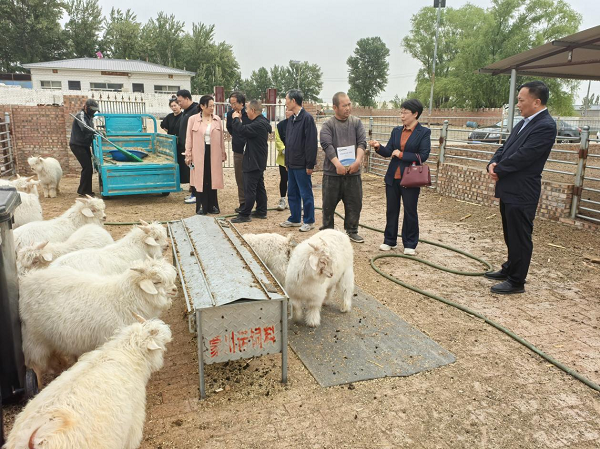 图片7.png