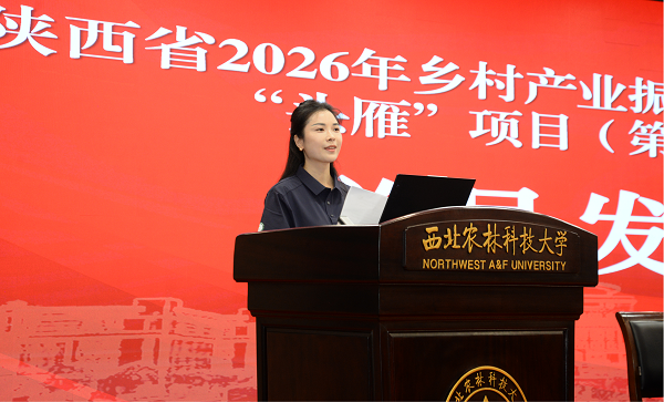图片12.png