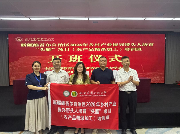 图片13.png