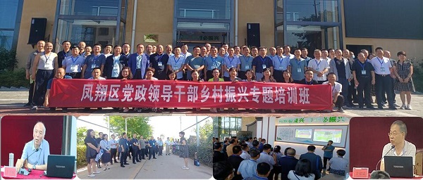 a790894b7b674dd8be3508f1f5839b10.jpg 凤翔-图.jpg