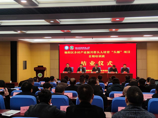 14a2c8ddbee540d8b264301a077039cd.png 图片1.png