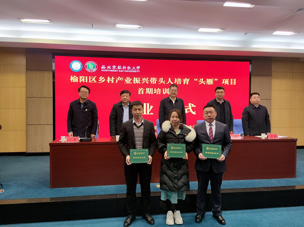 175e621971d5432a984a106b177f264a.png 图片4.png
