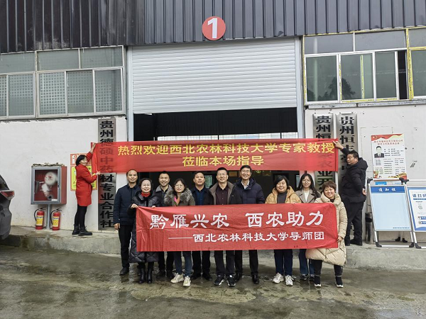 3f100927d0f84185879ea6422e9e18da.png 图片8.png