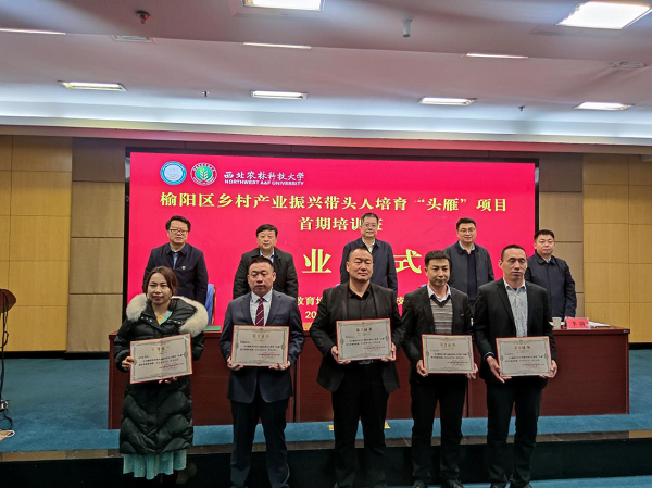 671186d9b97d44a6ab804be5b45a8dd8.png 图片3.png