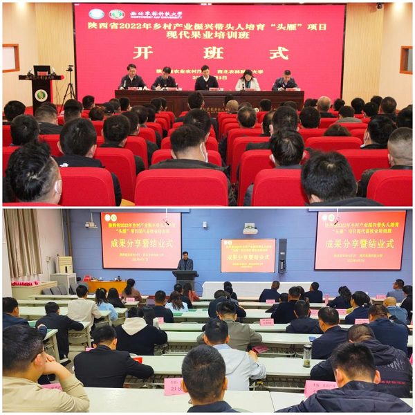 0d4e6fb3989c437bb675cc52b1a90196.png 图片1.png