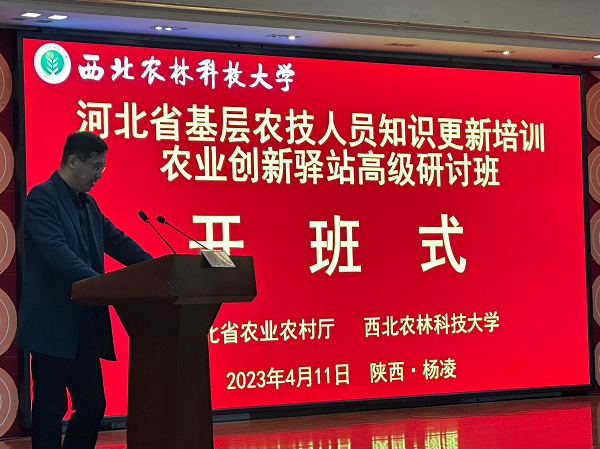 10f7b97764874b04acdea9ffcfedd7e8.png 图片4.png