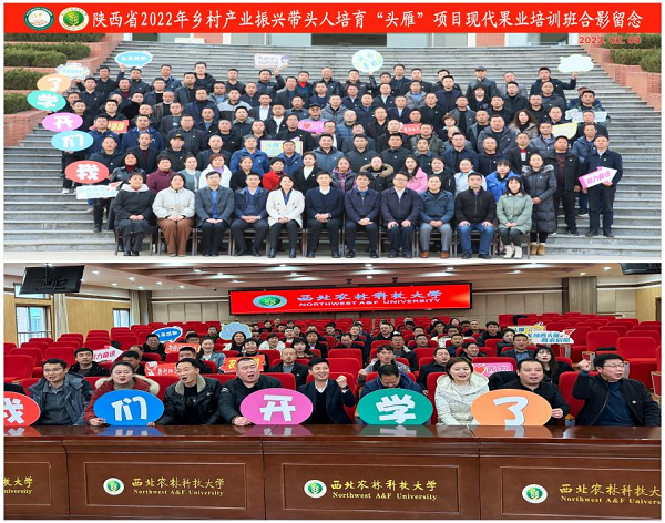 d52df5b0fd264acba5a3d83bb018c312.png 图片11.png