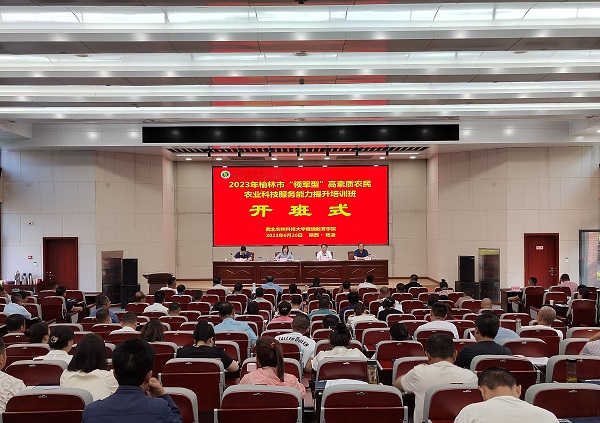 d165cfa05e444206b186c52ef4cb26db.jpg 3.jpg