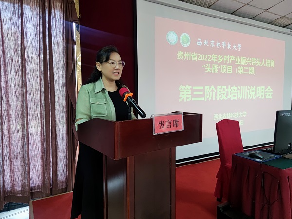 6124ddae12ac4ec0bb75166707e226da.jpg 22.jpg